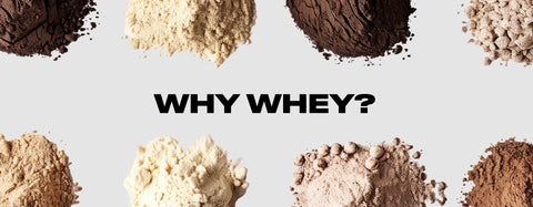The Benefits of Whey and Why We Chose It for MIILS